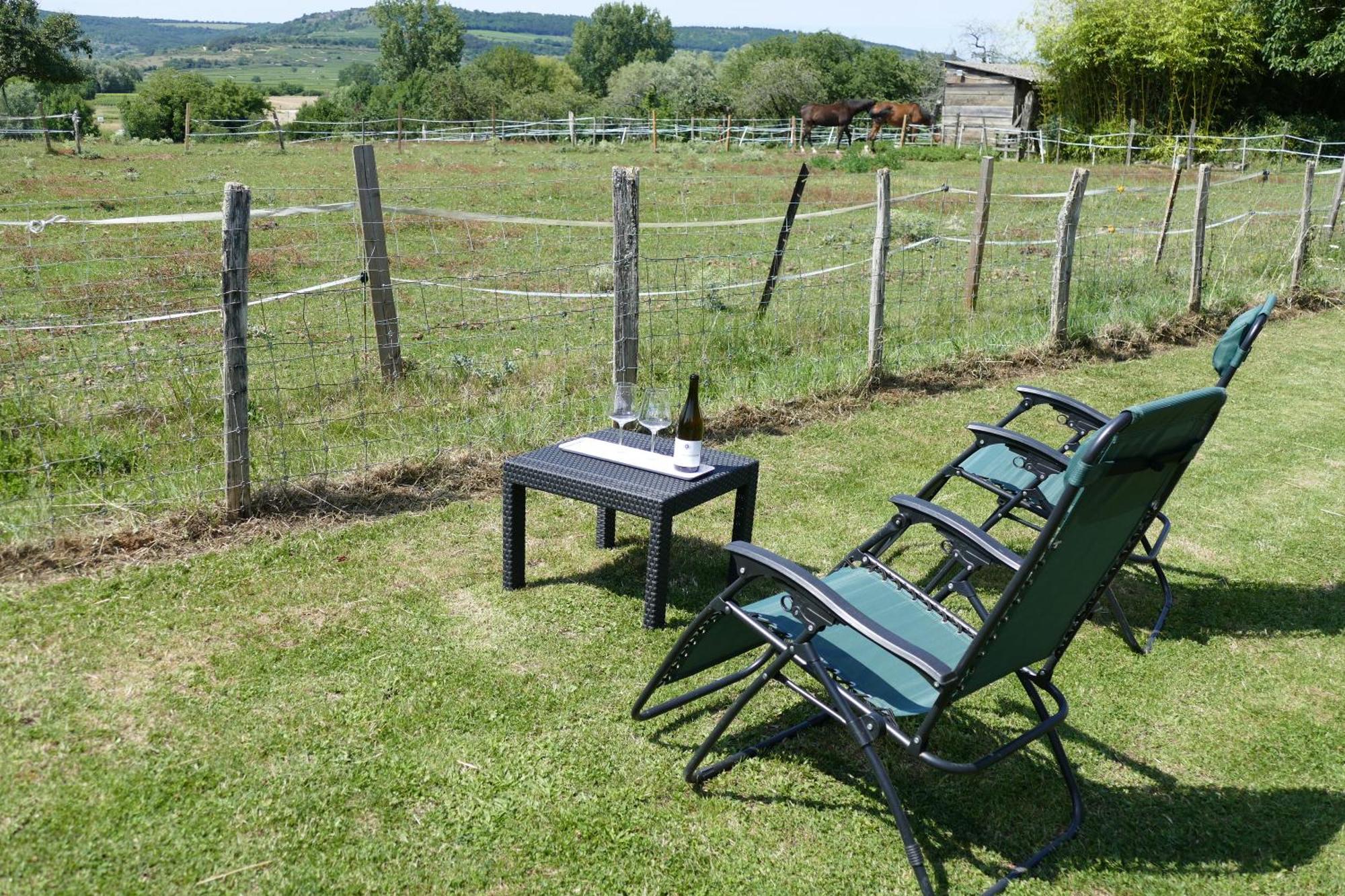 Les Grands Crus - Meursault Villa Corpeau Kültér fotó